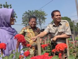 Izin Dipermudah, Bisnis Tanaman Hias Di Bogor Mampu Ekspor Ke-10 Negara