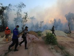 Modernisasi Pertanian Kurangi Risiko Kebakaran Hutan