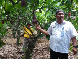 Sultra Tuan Rumah HPS 2019, Kementan Siapkan Kakao dan Sagu Jadi Komoditas Andalan