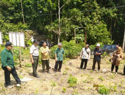 Kementan Kembangkan Jengkol Ratusan Hektar di Banten