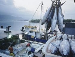Stok 1,67 Juta Ton, KKP Klaim Kebutuhan Ikan Aman sampai Juni