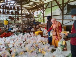 Rekrut Korban PHK, Pasar Tani Terus Pasok Kebutuhan Sayur Saat Pandemi