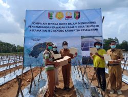 Didorong Irigasi Bertenaga Surya, Jadikan Lampung Sentra Cabai Ramah Lingkungan