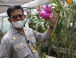 Lepas 50 Ribu Hibah Benih Sumber, Kementan Dorong Industri Florikultura Berorientasi Ekspor