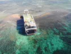 BPSPL: Pemulihan Terumbu Karang di Lombok Tanggung Jawab Perusahaan Kapal