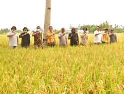 UPT Pertanian Kementan di Papua, Perkuat Pertanian dan Ekspor Daerah Perbatasan