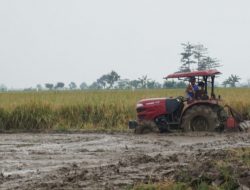 Realisasi KUR Pertanian di Lampung Tembus Rp4,078 T