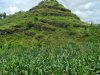 Kementan Dukung Petani Gunung Kidul Membuat benih Jagung Hibrida Sendiri