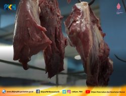 Kementan: Pasokan Daging Sapi, Ayam dan Telur di Jawa Tengah Aman dan Lancar