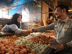 Pasca Idul Adha, Mentan SYL Sidak Stok dan Harga Pangan di Pasar Kota Makassar