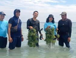 Rumput Laut di Pulau Pari Dibudidayakan Sudin KPKP