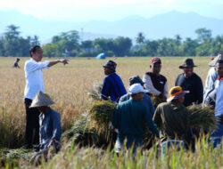 Sulsel Surplus Beras, Presiden Jokowi: Segera Distribusikan Ke Wilayah Lain