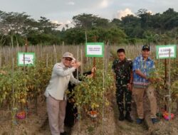 Wamentan Akan Terus Tingkatkan SDM untuk Akselerasi Sektor Pertanian di Sorong