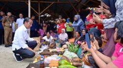 Presiden Jokowi Tinjau Harga Bahan Pokok di Banggai Kepulauan